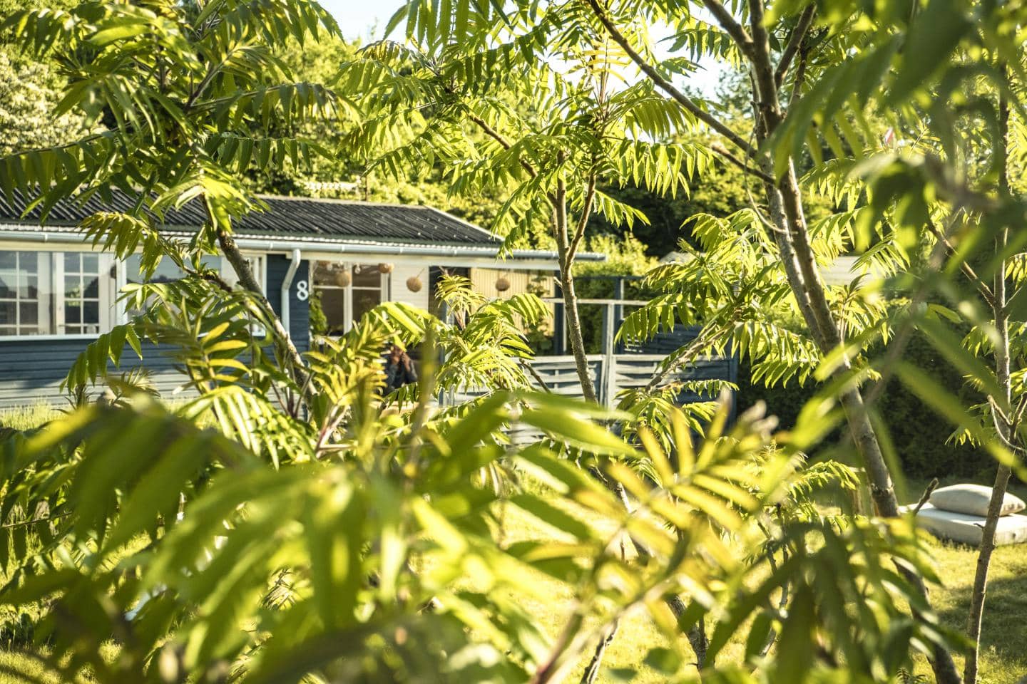 Få gode råd til at undersøge sommerhuset for skader, så det er klar til en ny sæson.