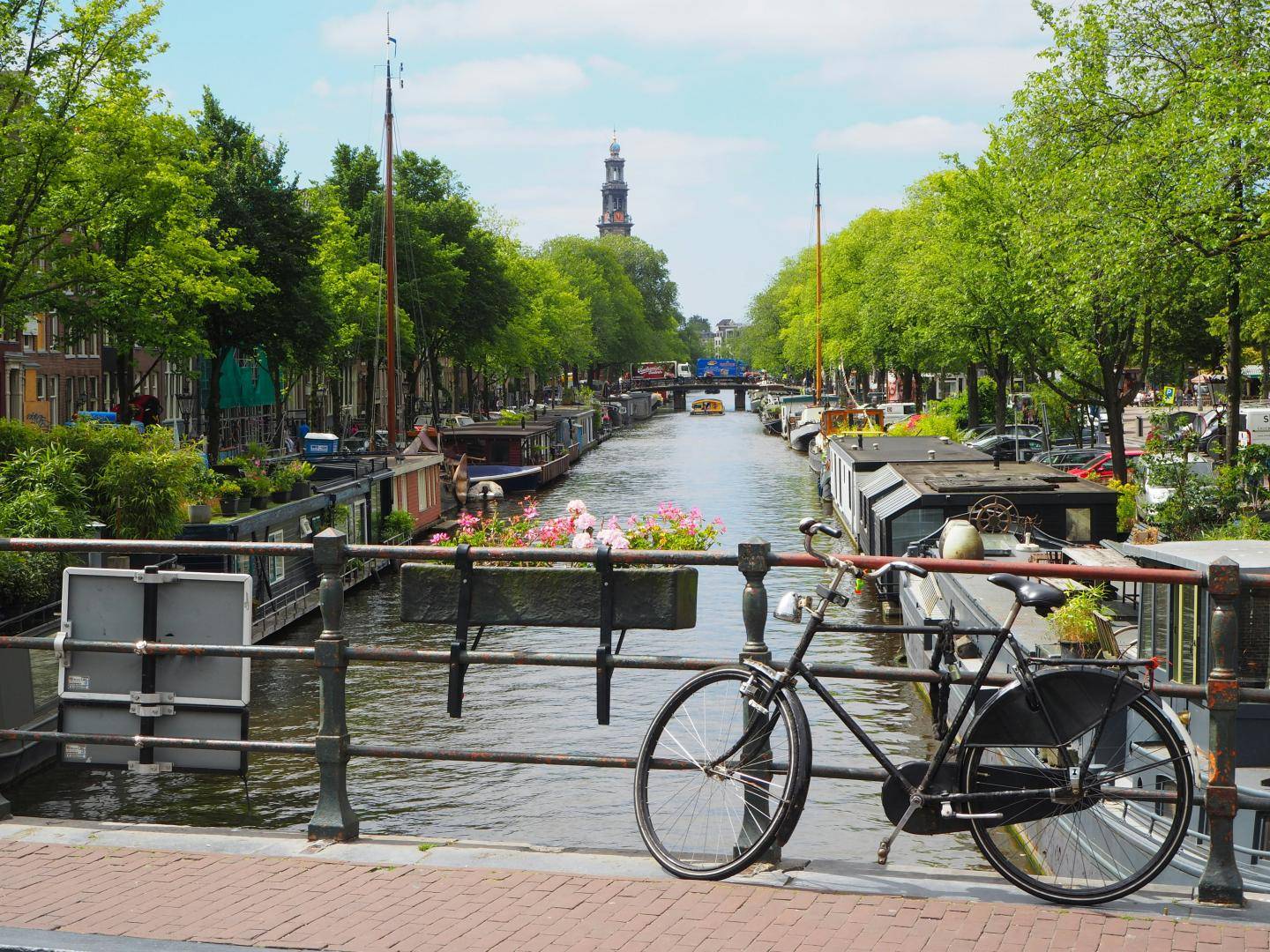Rejseforsikring holland